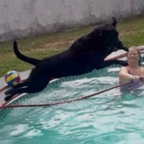 Meet your Posher, Kat - Picture 2 of 5